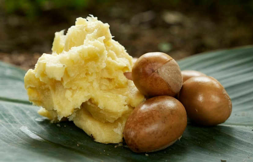 Yellow African Raw Shea Butter 5/lb